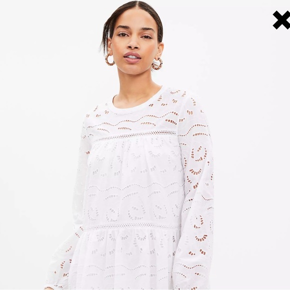 NWOT Eyelet Long Sleeve Swing Dress
Size Large Petite - Picture 7 of 9